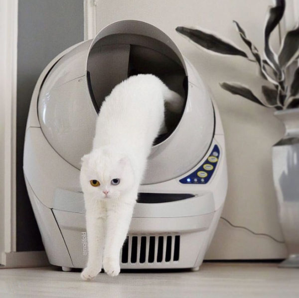 litter robot sleep mode